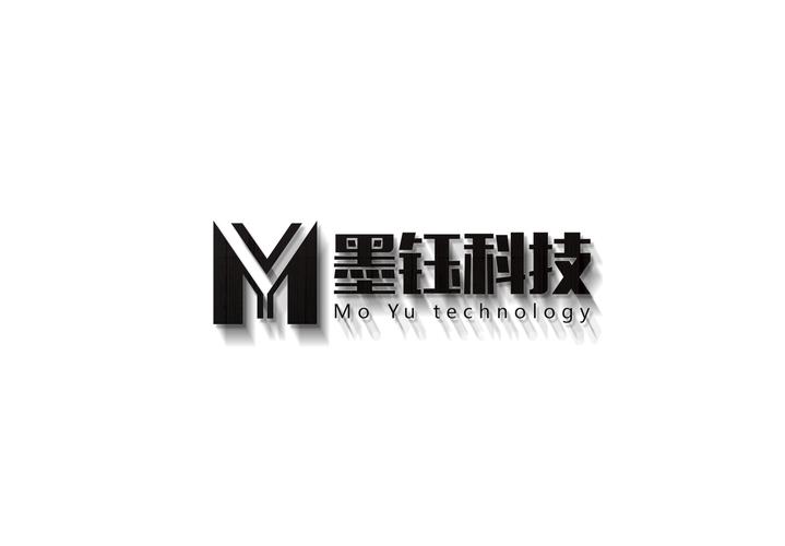 软件科技服务与广告业务的综合业务解析